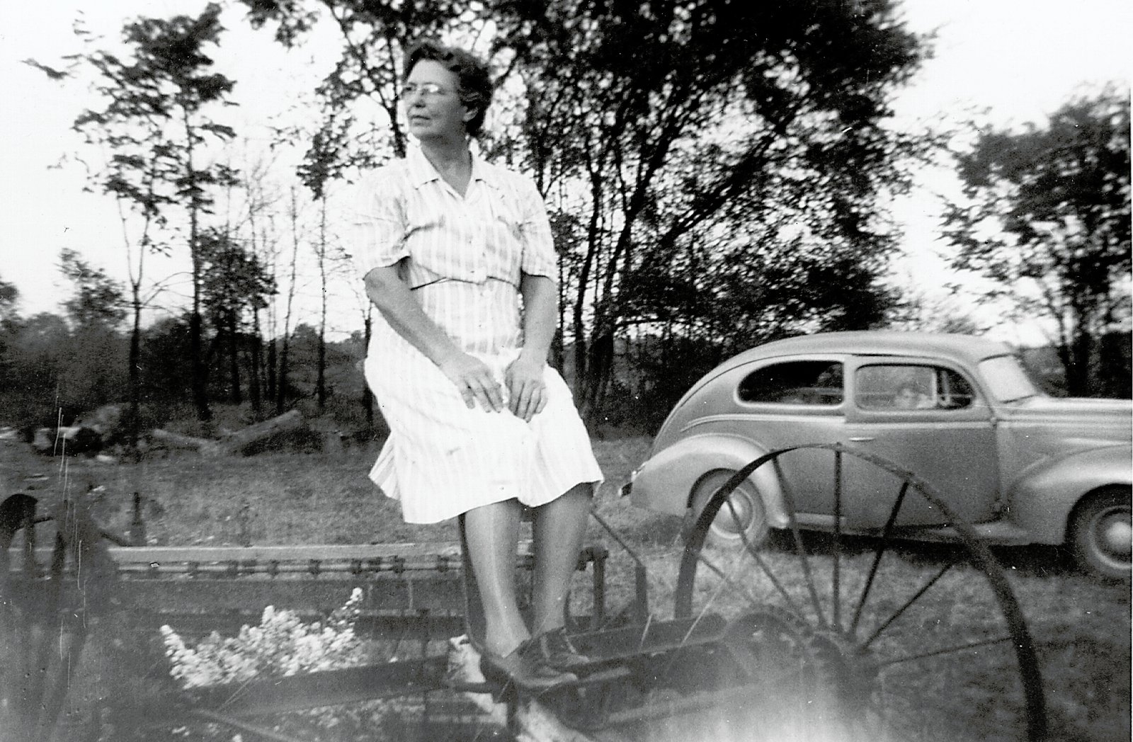 Julia Palmer née Livernois